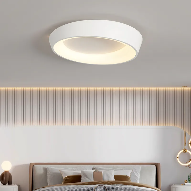 Modern Decorative Rock Painted Smart Home Tuya LED Ceiling Light