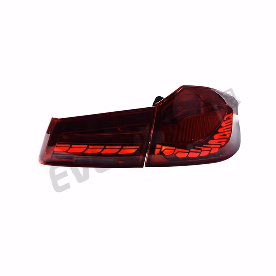 Luz traseira completa da lâmpada traseira LED para BMW G30 Série 5 Atualização para LED Dinâmico Duplo Estilo Dragão